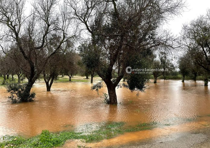 Maltempo: Coldiretti Puglia, Con Tornado Su Salento E Nubifragio Nel ...