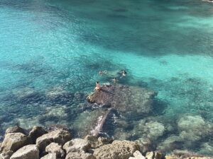 Novembre nelle spiagge nascoste del Salento: un paradiso per pochi durante la settimana - Corriere Salentino